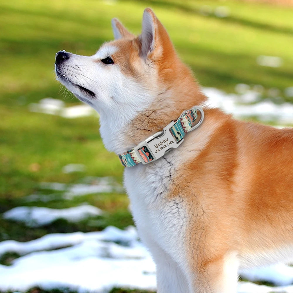 Personalized Dog Accessories Nylon Printed Dog Leash