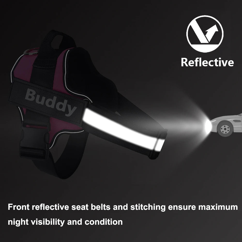 Personalized Dog Harness Reflective Breathable Pet Leash