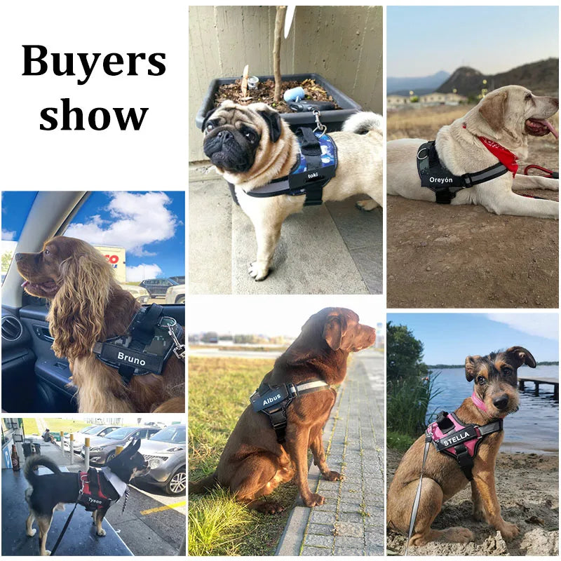 Personalized Dog Harness Reflective Breathable Pet Leash
