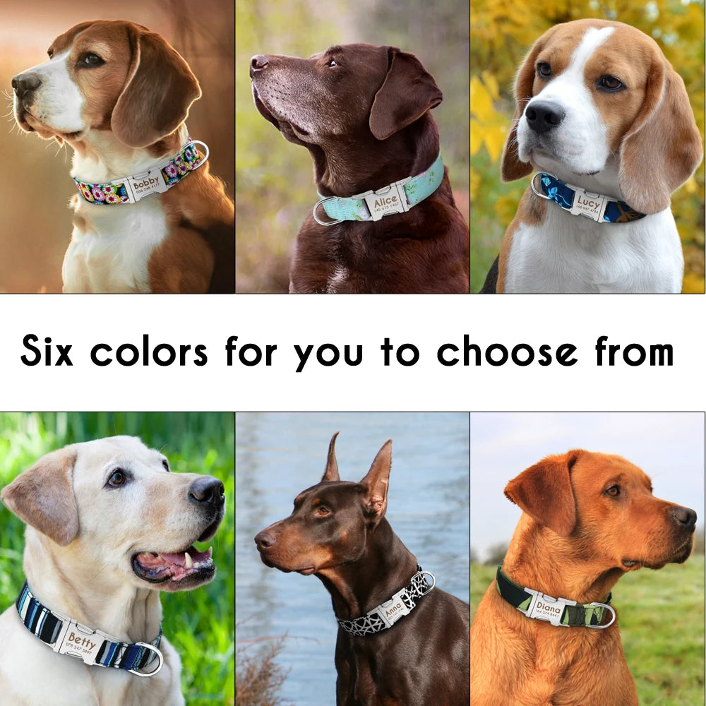 Personalized Dog Accessories Nylon Printed Dog Leash