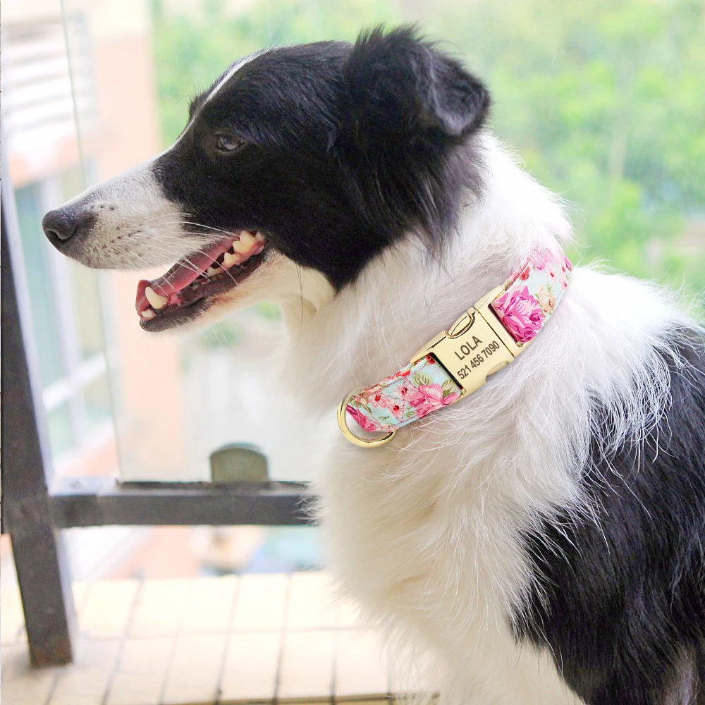 Personalized Dog Accessories Nylon Printed Dog Leash