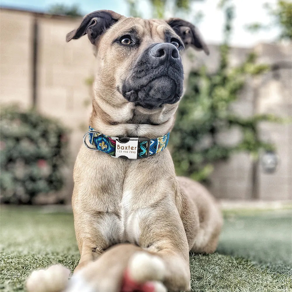 Personalized Dog Accessories Nylon Printed Dog Leash
