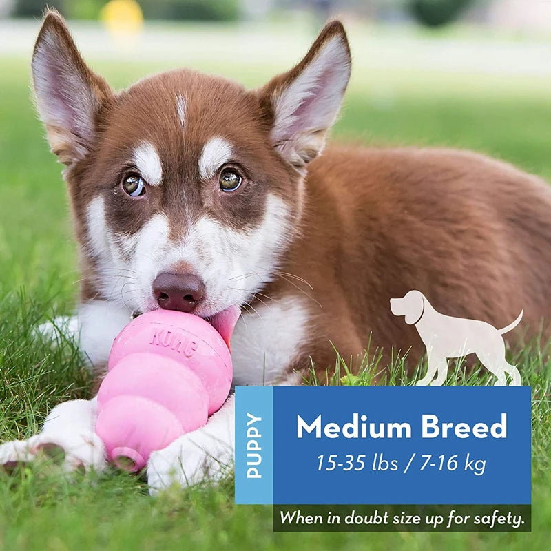 Puppy Natural Teething Rubber Dog Chew Toy Dog Treat