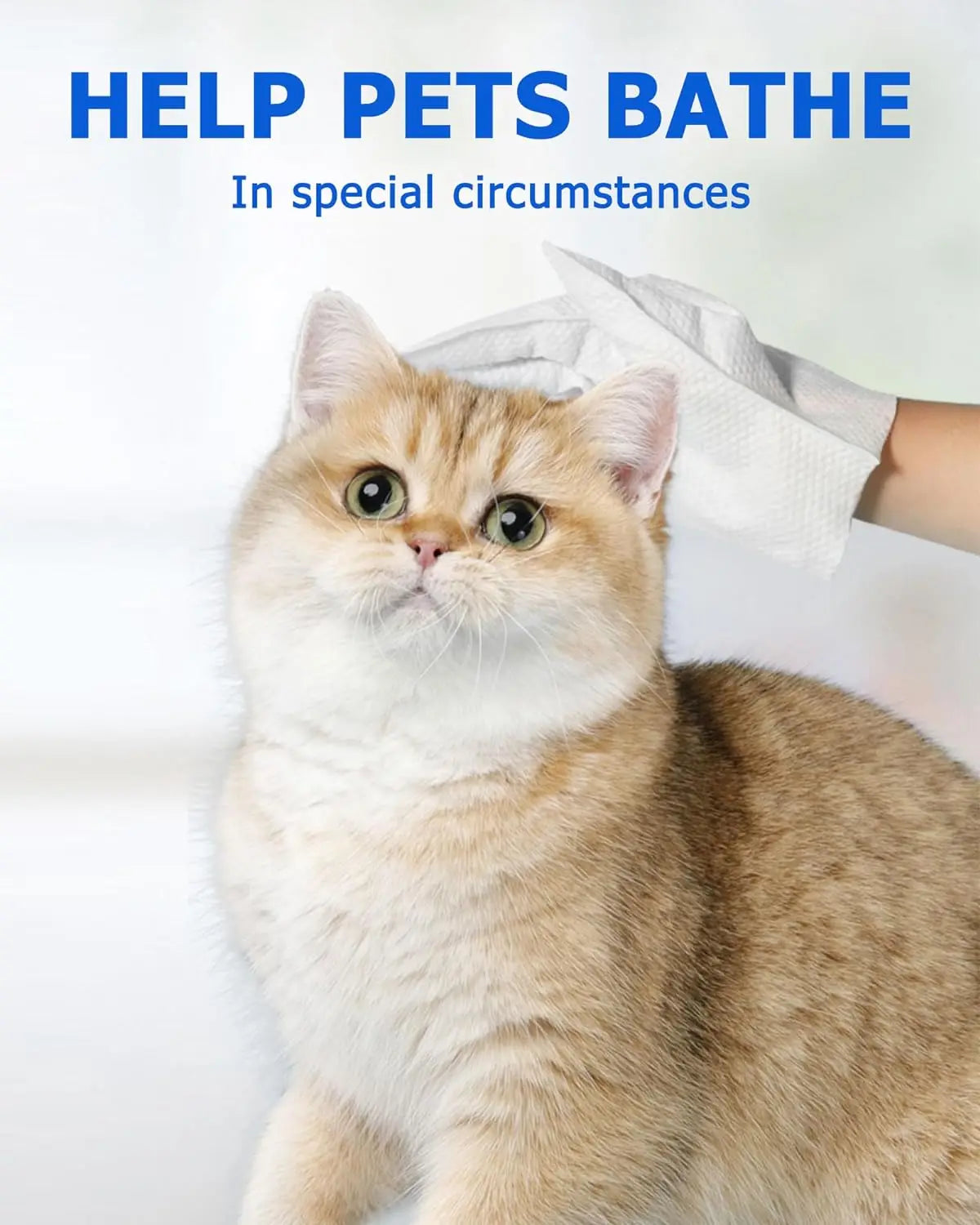 Cleaning Wipes Gloves for Dog and Cat Pet Bathing Wipes