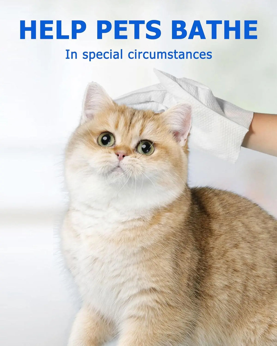 Cleaning Wipes Gloves for Dog and Cat Pet Bathing Wipes