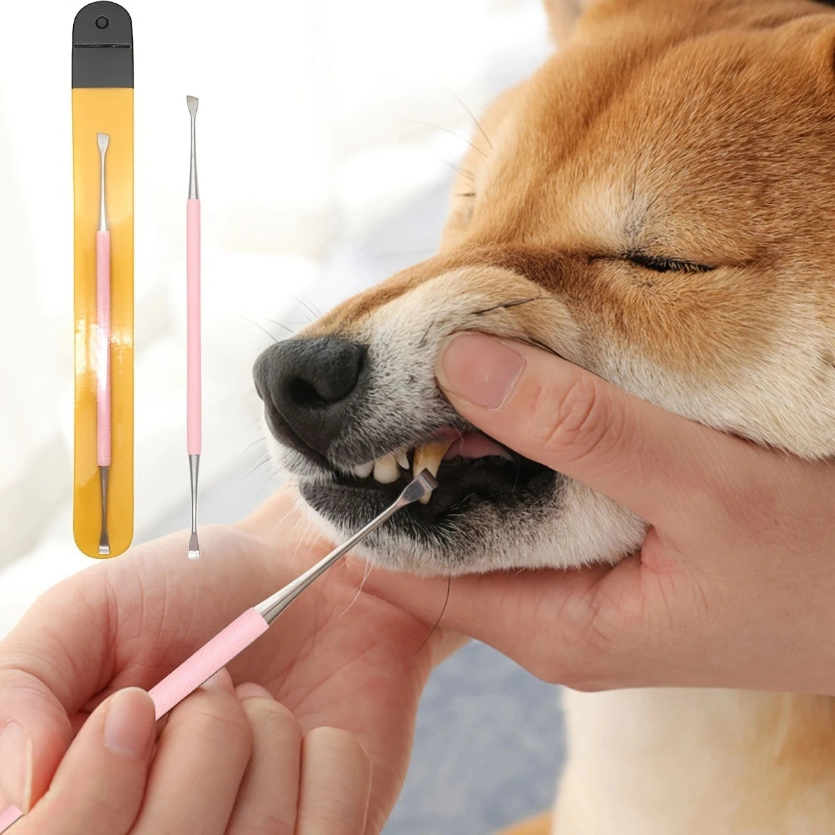 Dog Tooth Cleaner Stainless Steel Tartar Removers Scraper