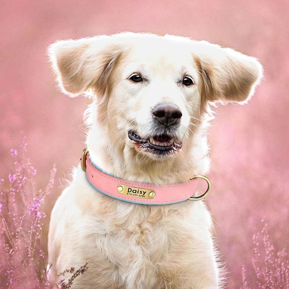 Customized PU Leather Nameplate Collar Dog Leash