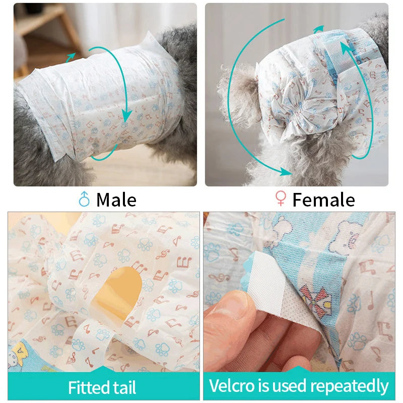 Super Absorption Female Dog Diaper Pet Dog essentials