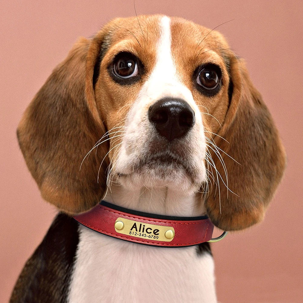 Customized PU Leather Nameplate Collar Dog Leash