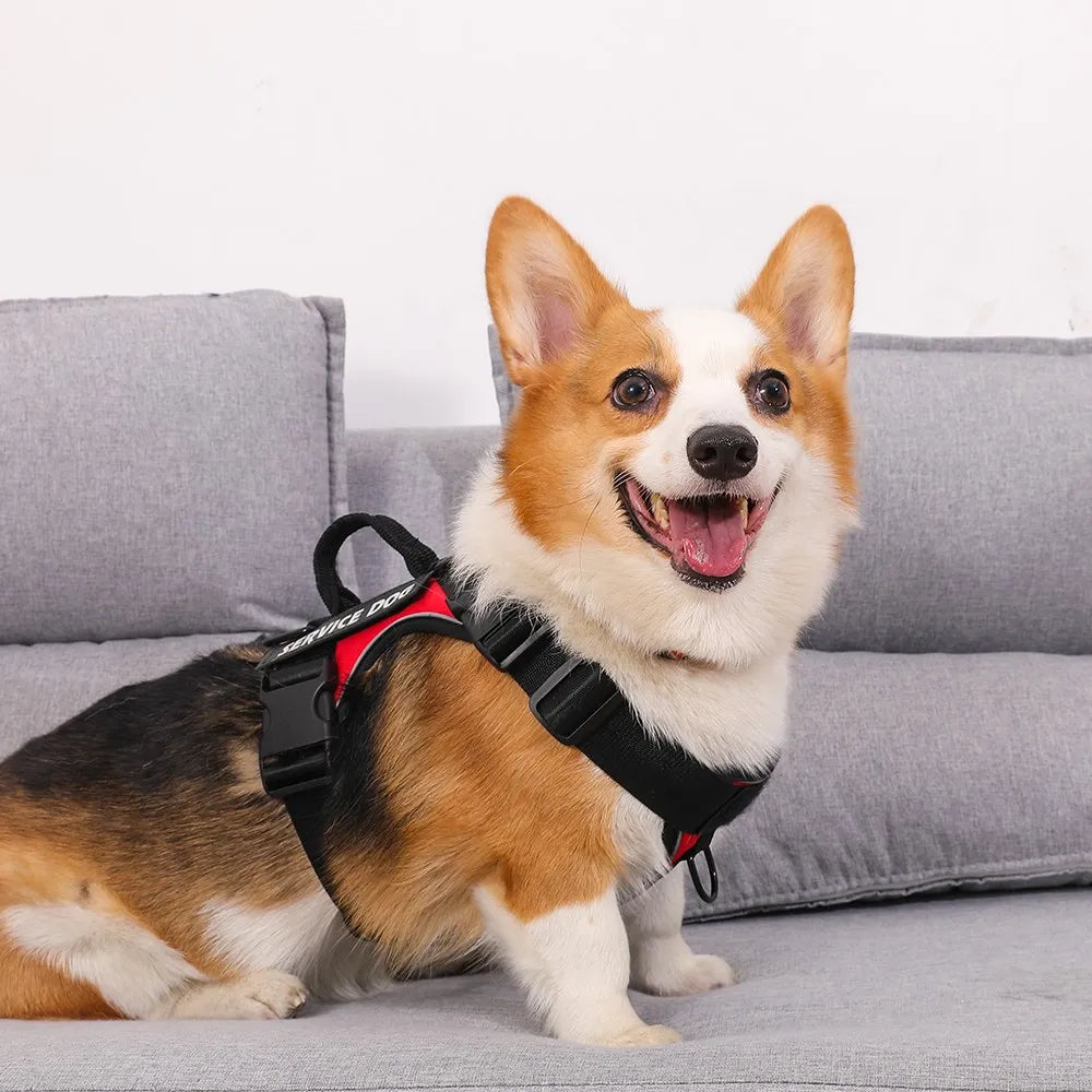 Reflective Pet Dog Harness Dog Accessories Leash