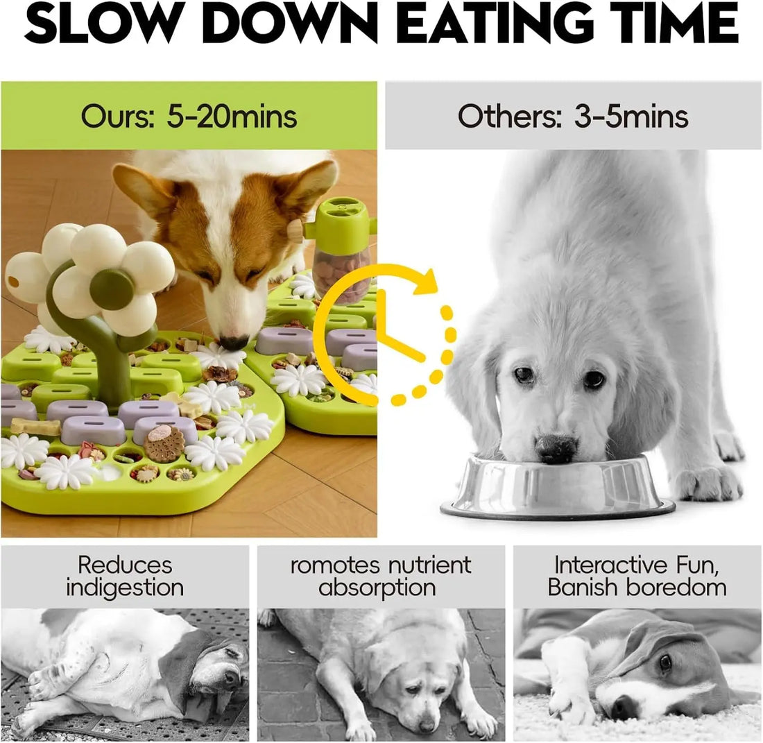 Dog Puzzle Toy Enrichment Toys for Dogs IQ Training Dog