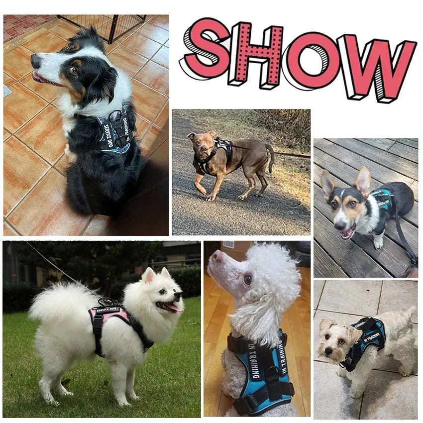 Reflective Pet Dog Harness Dog Accessories Leash