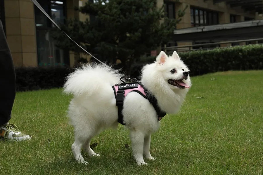 Reflective Pet Dog Harness Dog Accessories Leash