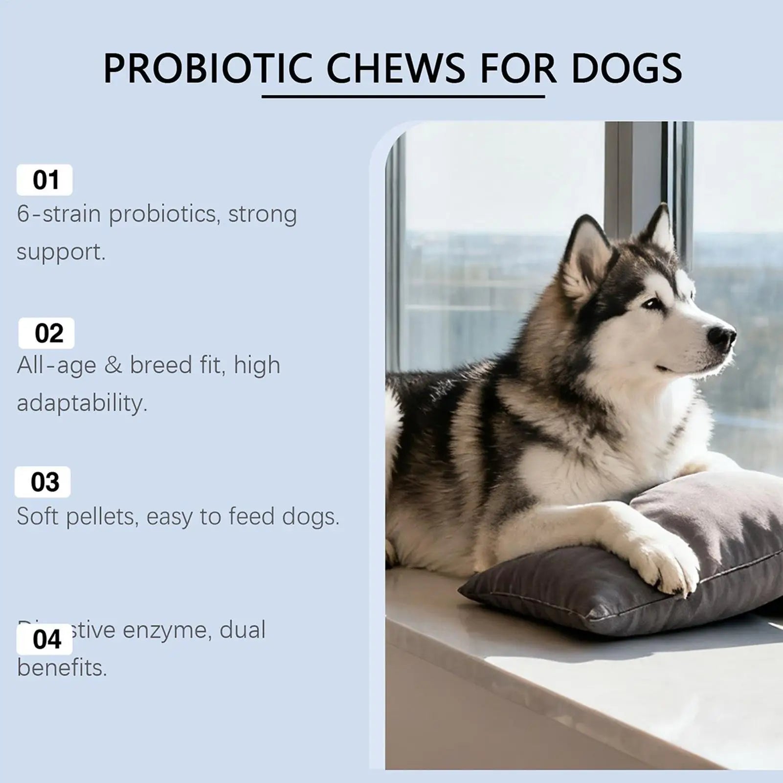 Dog Supplements for After Meal Seasonal Changes Food