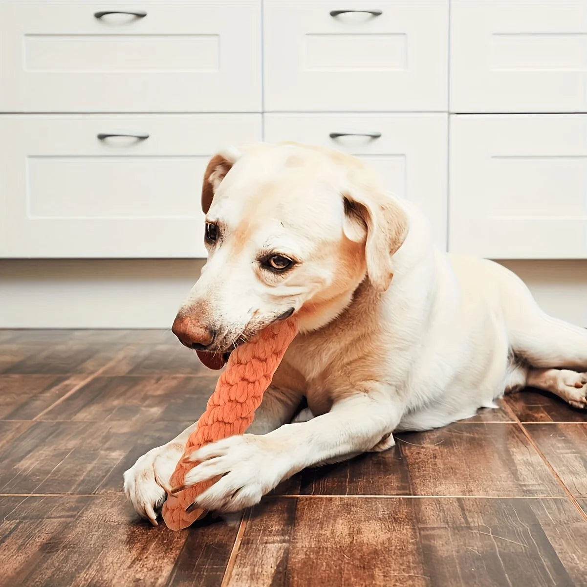 Carrot-Shaped Dog Chew Toys Durable Polyester Fetch Toys