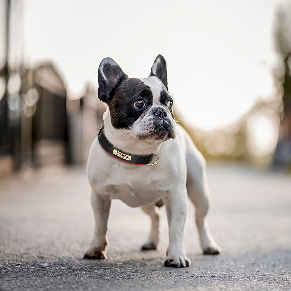 Customized PU Leather Nameplate Collar Dog Leash