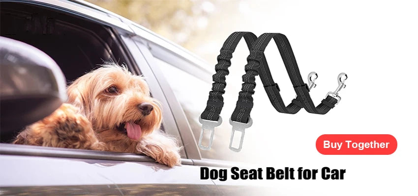 Personalized Dog Harness Reflective Breathable Pet Leash