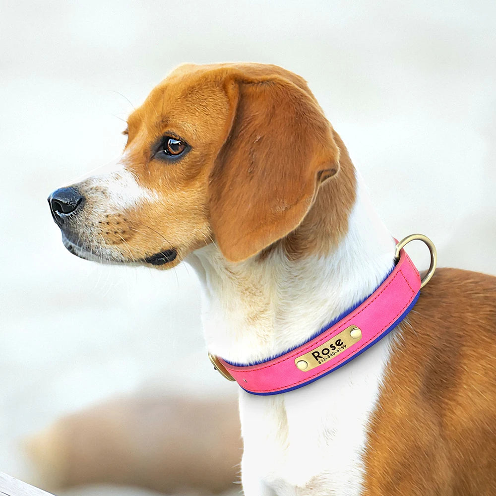 Customized PU Leather Nameplate Collar Dog Leash