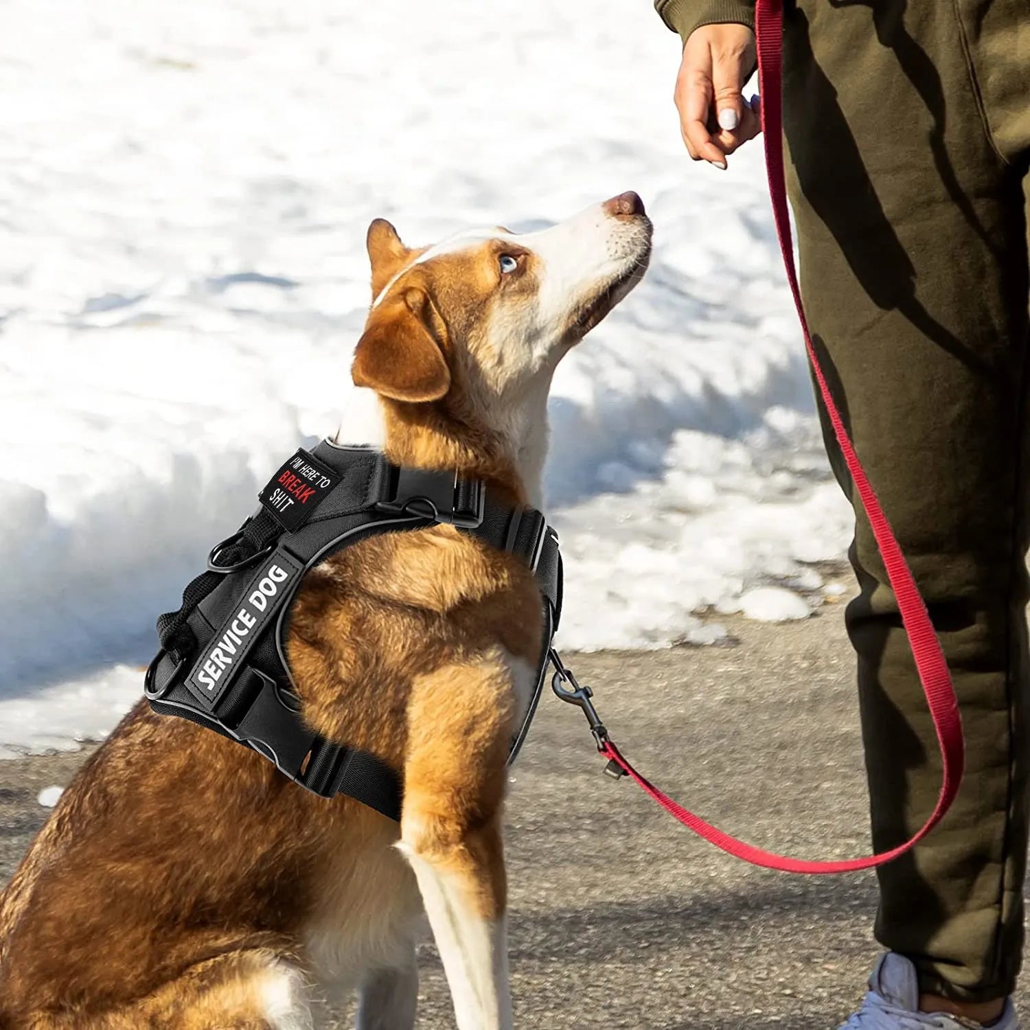 Reflective Pet Dog Harness Dog Accessories Leash