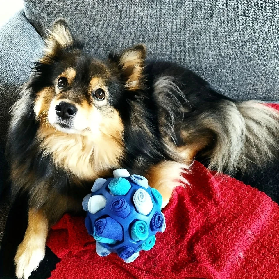 Interactive Dog Toy Sniffing Ball for Hiding Treats Treat Toys