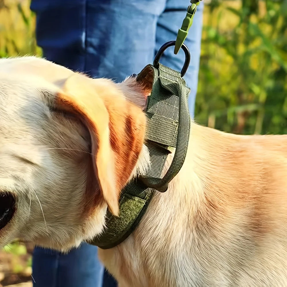 Dog Training Collar Adjustable Tactical Dog Collar