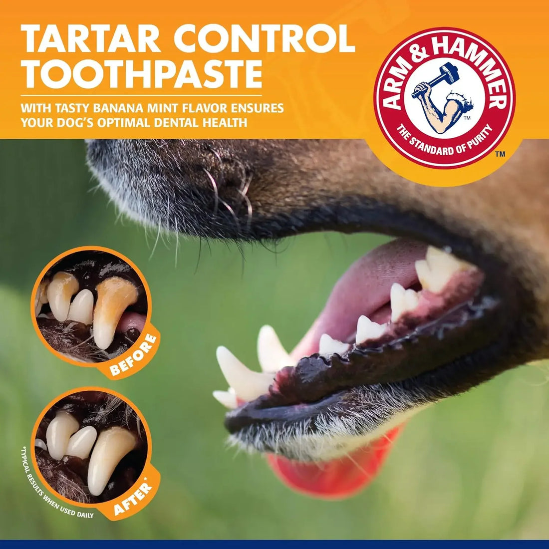 Universal Toothpaste Toothbrush Set Dog Dental Care Pet