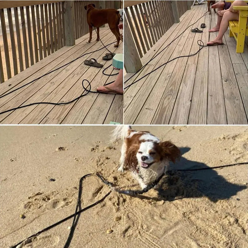 Long Rope Training Dog Leash Heavy Duty Nylon Dog Leash
