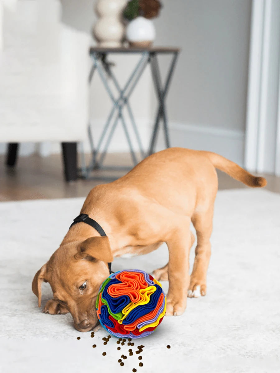 Advanced Sniffing Ball for Dogs Feeder Puzzle Toy