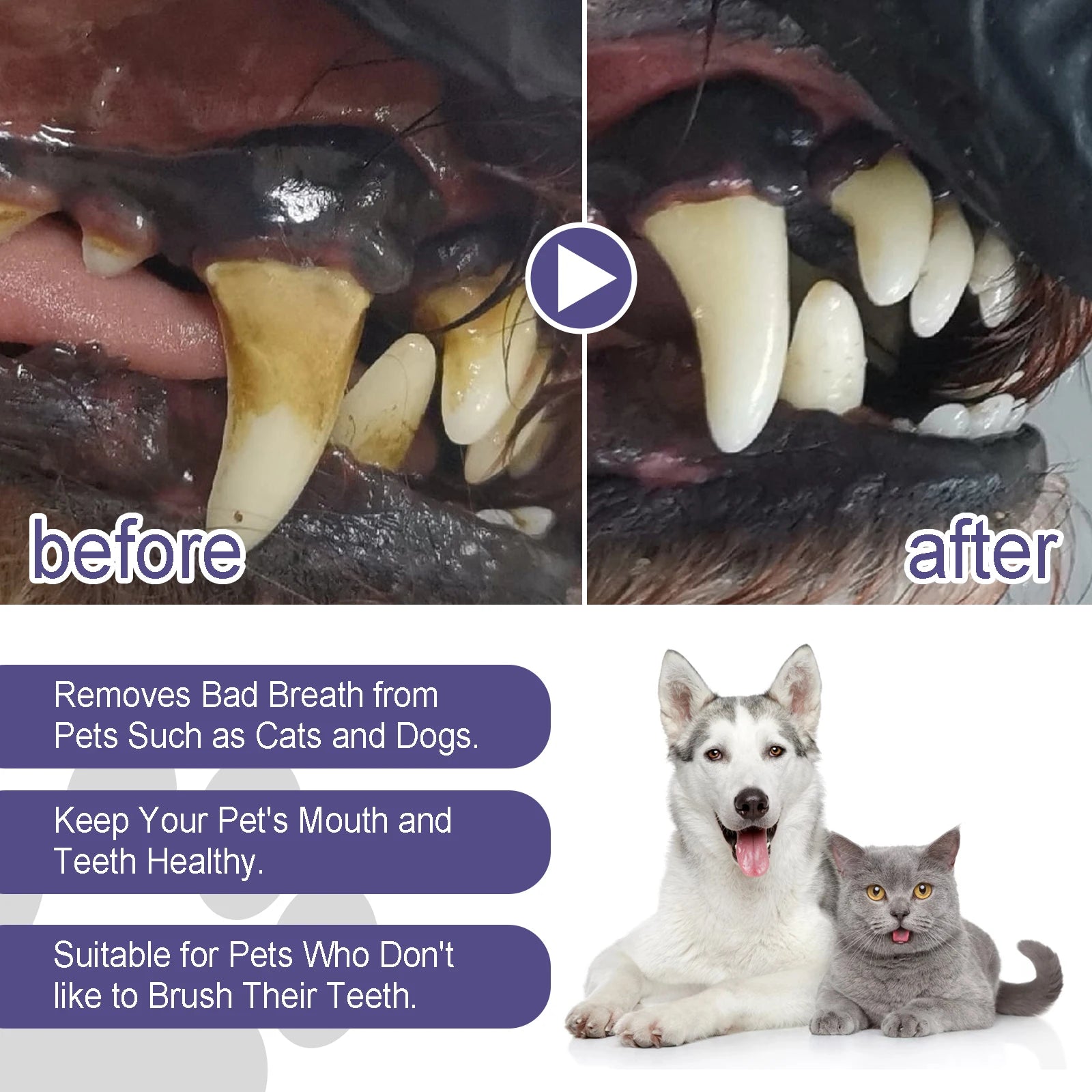 Pet Dental Gel Teeth Cleaning Pen for Dogs Dental Care