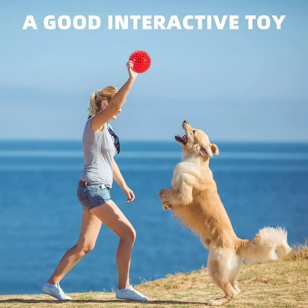 Dog Toys Spiky Balls Cleans Teeth and Gum Chewers