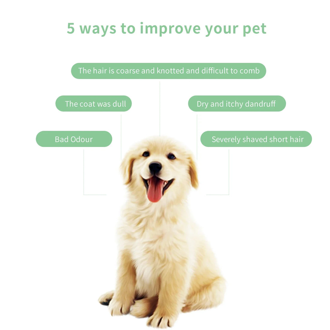 Pet Grooming for Sensitive Skin  Hypoallergenic Shampoo