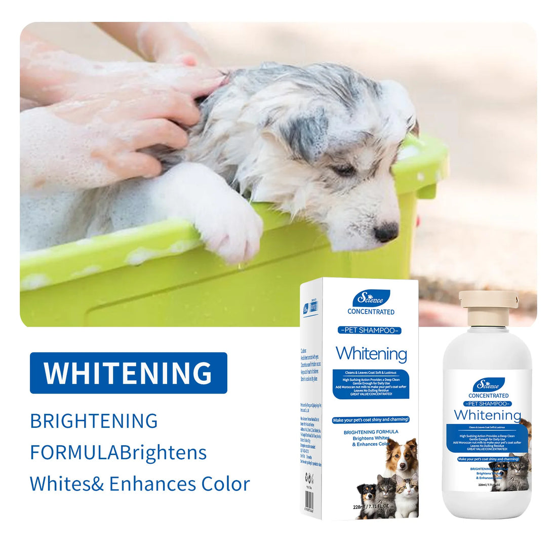 Pet Grooming for Sensitive Skin  Hypoallergenic Shampoo