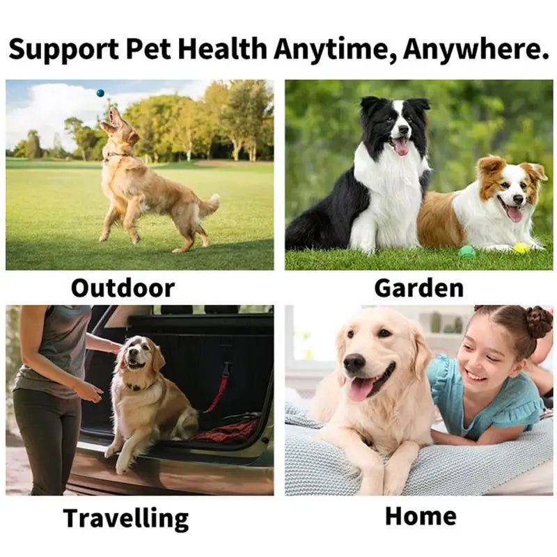 Pet Teeth Cleaning Finger Wipes Pet Dog Teeth Dental Care