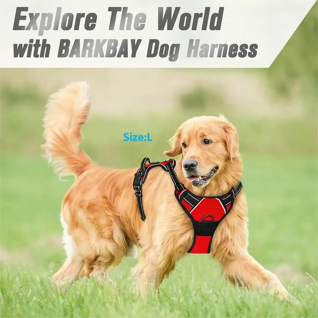 Dog Collars Harness Big Vests Leash Pet Shop Dog Leash