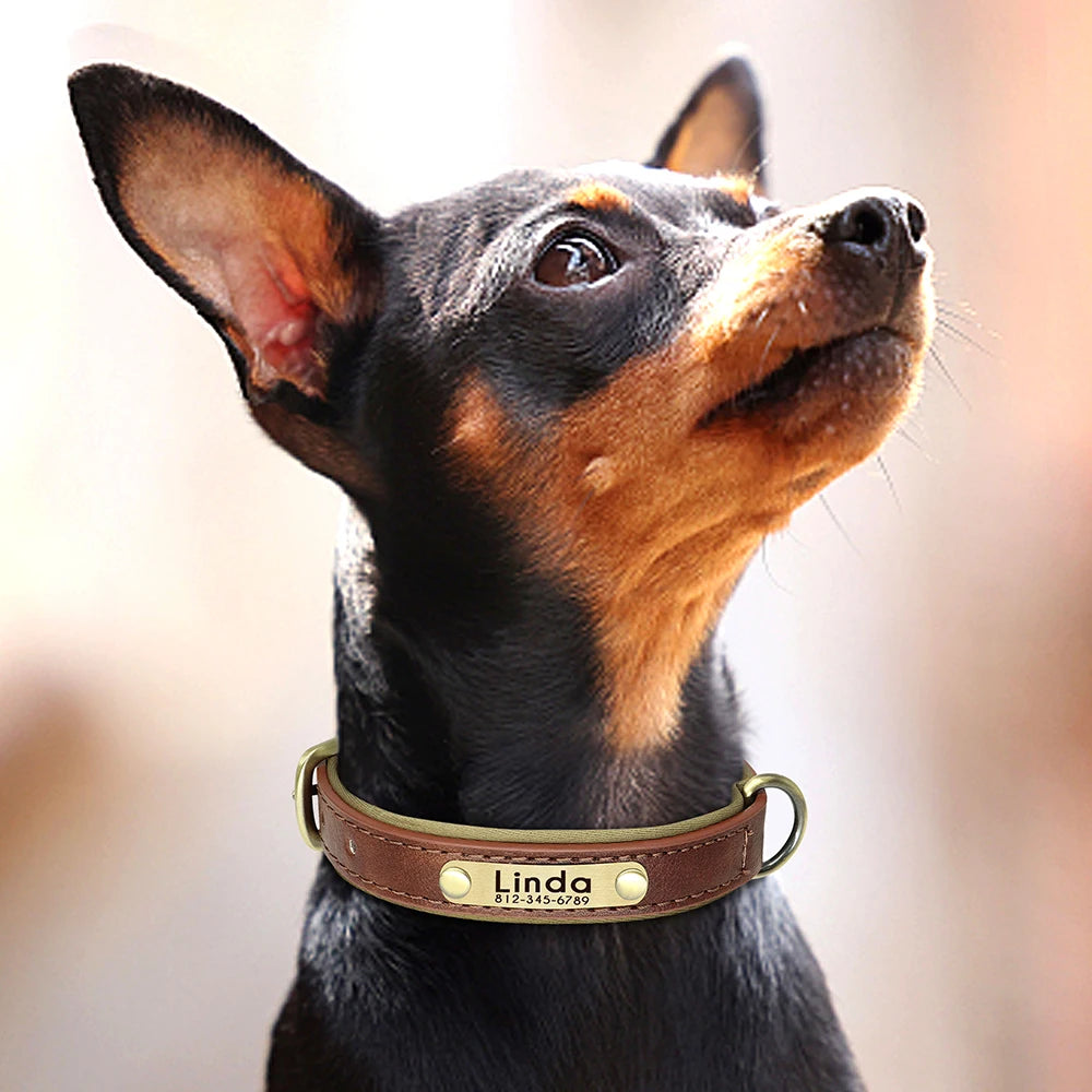 Customized PU Leather Nameplate Collar Dog Leash