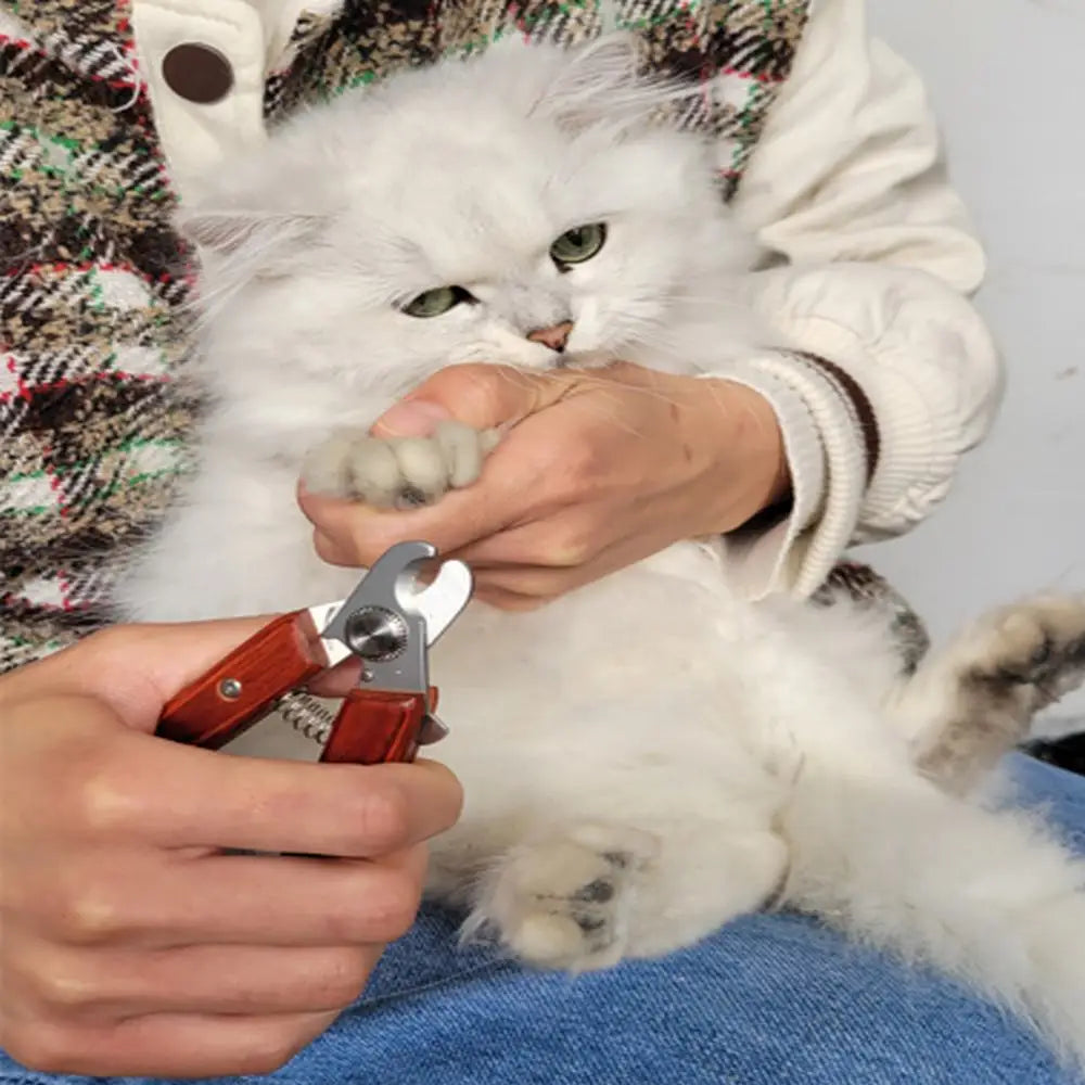 Dog Nail Clippers Cat And Dog Cleaning Tools equipment