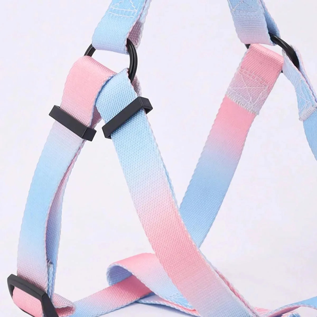 Chest for Dog Harness for Dogs Small Dog Leash Pet Collar