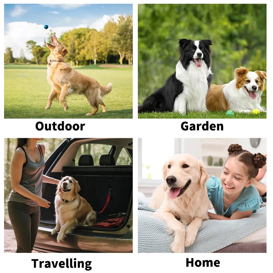 Cleaning Wipes Gloves for Dog and Cat Pet Bathing Wipes