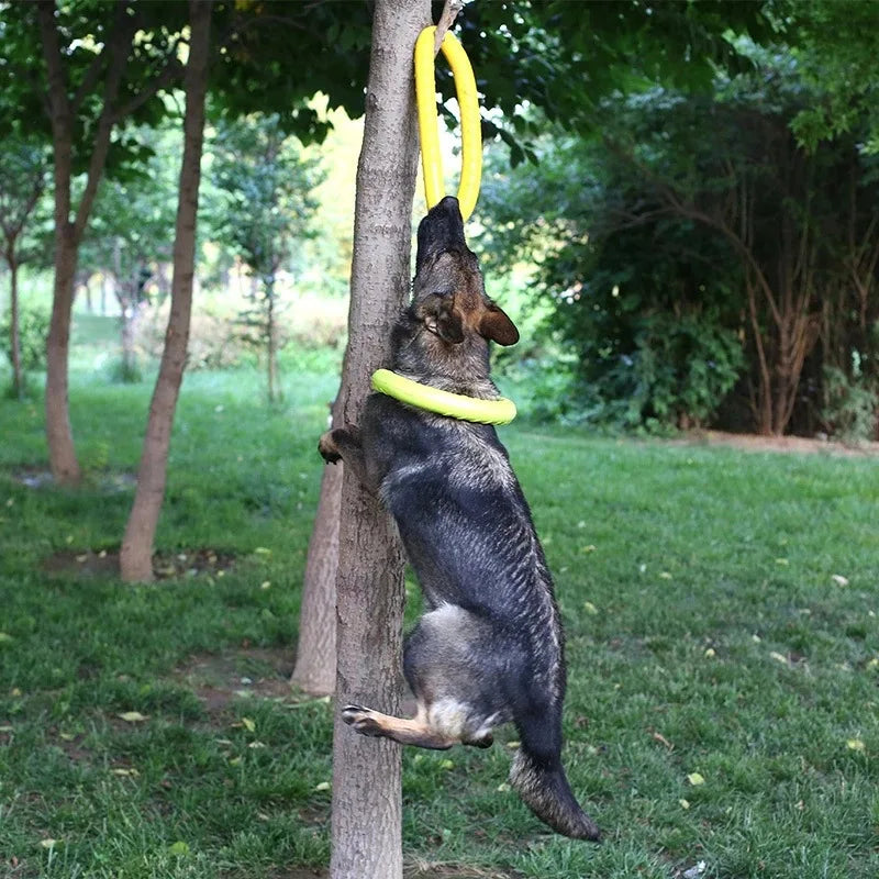 Dog Toy Training Ring Puller Puppy Flying Chewing Toys