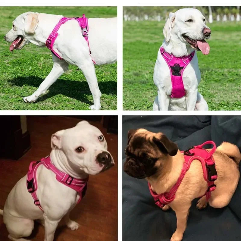 Reflective Breathable Vest Chest Strap Leash Pet Collar