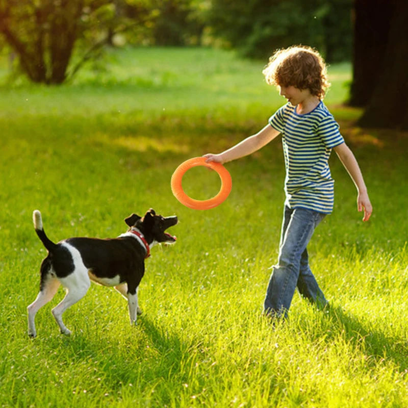 Dog Toy Training Ring Puller Puppy Flying Chewing Toys