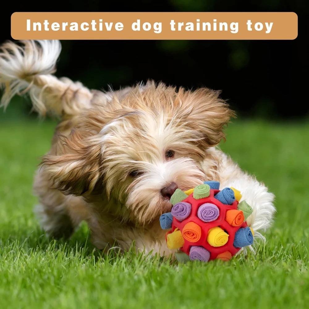 Interactive Dog Puzzle Toy Sniffing Ball for Treat Dog Toys