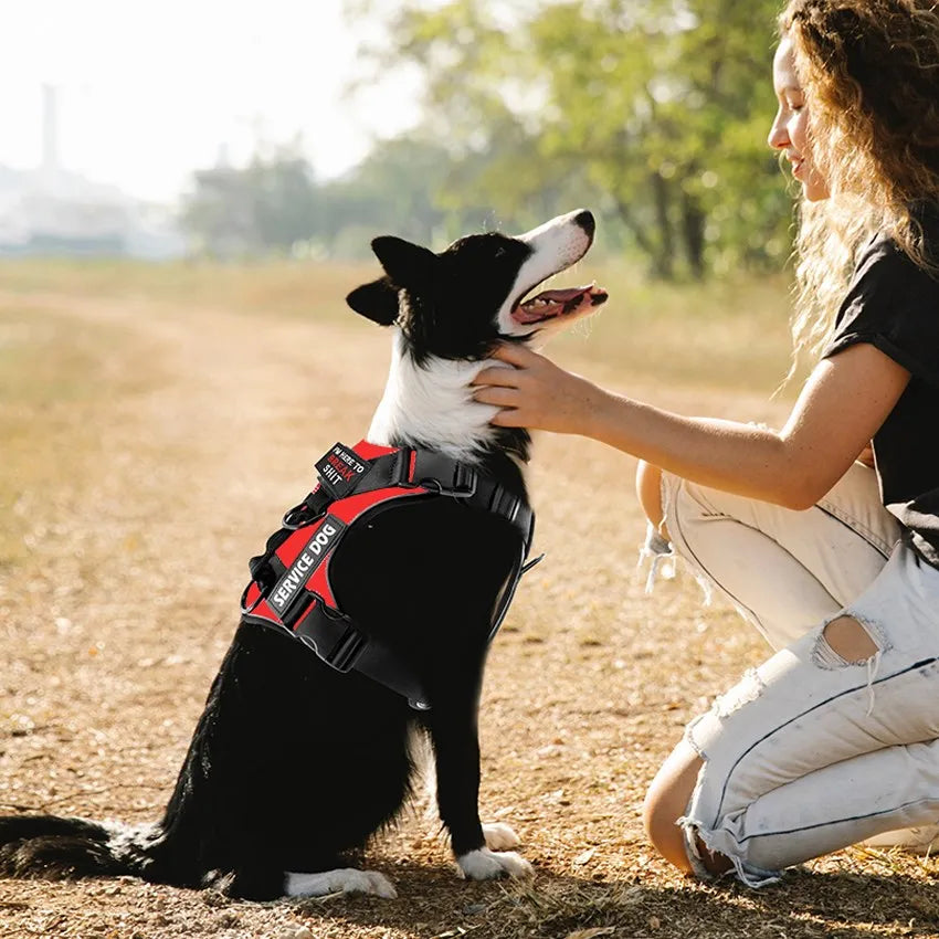Reflective Pet Dog Harness Dog Accessories Leash