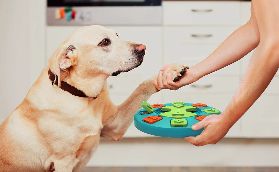 Dog Puzzle Toy Slow Feeder For IQ Training