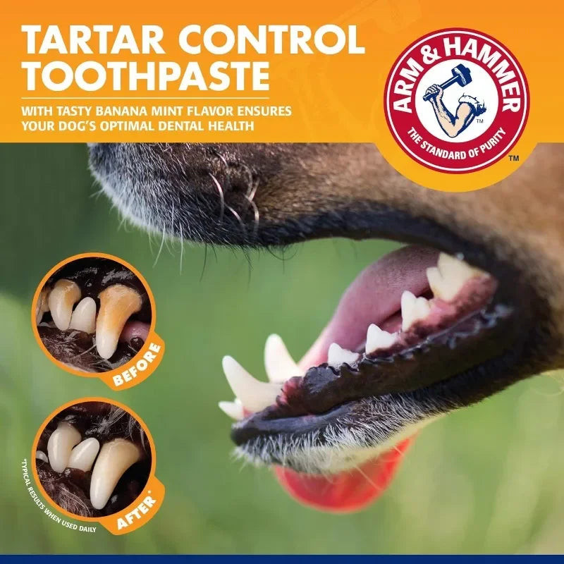 Universal Toothpaste Toothbrush Set Dog Dental Care Pet