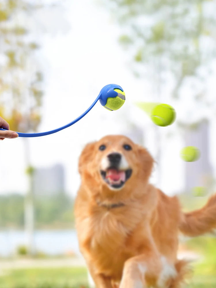 Pet Throwing Stick Toy Interactive Ball Launcher Fetch Toys