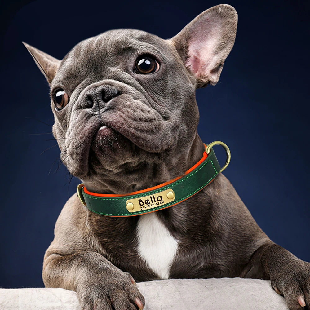 Customized PU Leather Nameplate Collar Dog Leash