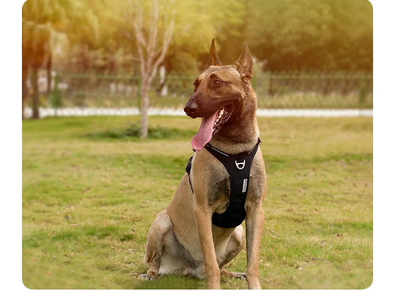 Pet Harness No Pull Nylon Reflective Dog Leash Pet Collar