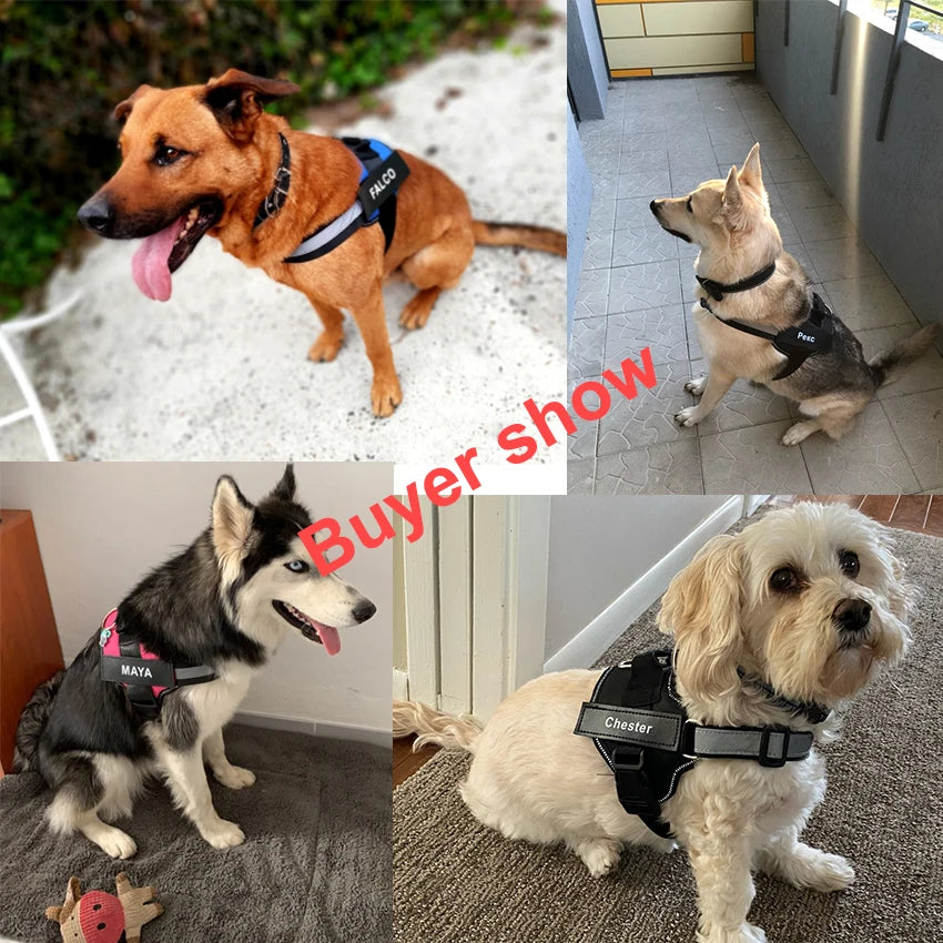 Personalized Dog Harness Reflective Breathable Pet Leash