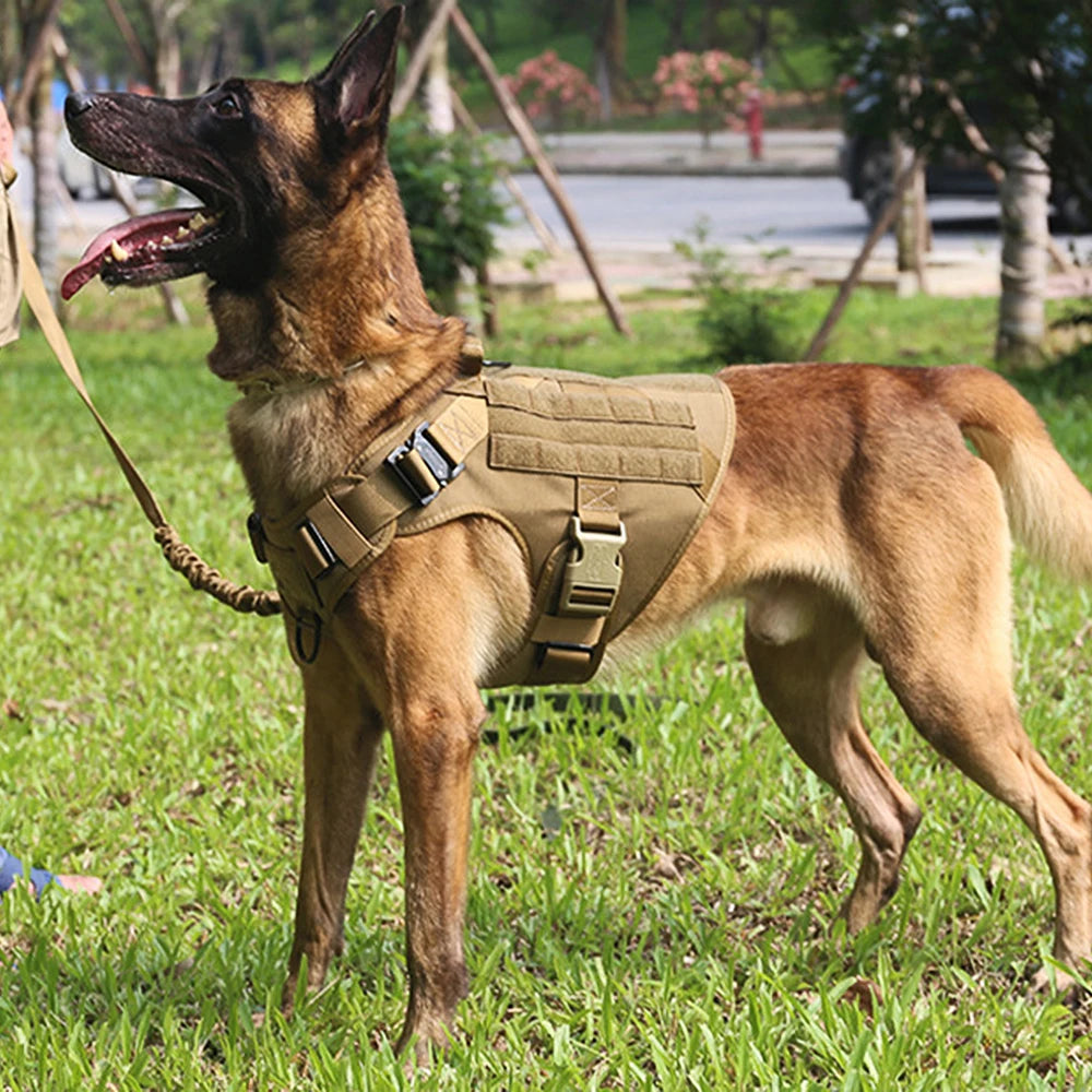 Military Large Dog Harness Pet Leash Collar